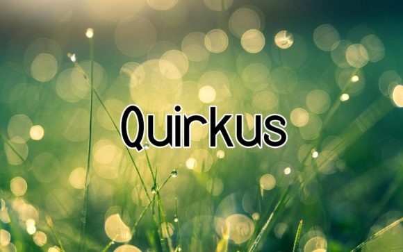 Quirkus: A Bold Font for Digital Branding